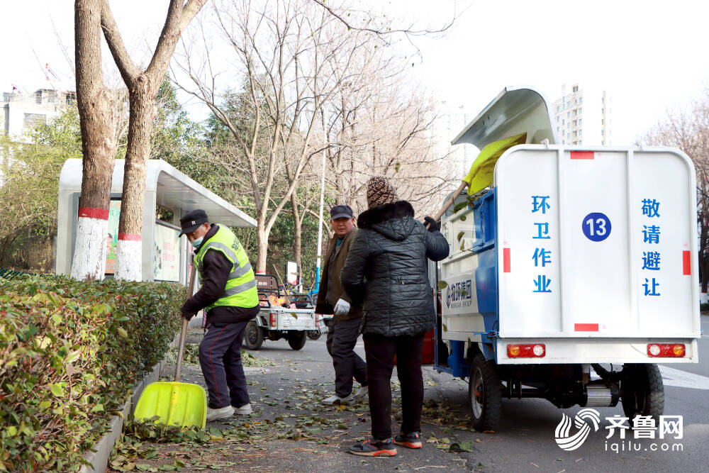 确保城市道路干净整洁 枣庄薛城环卫全力做好落叶清理工作