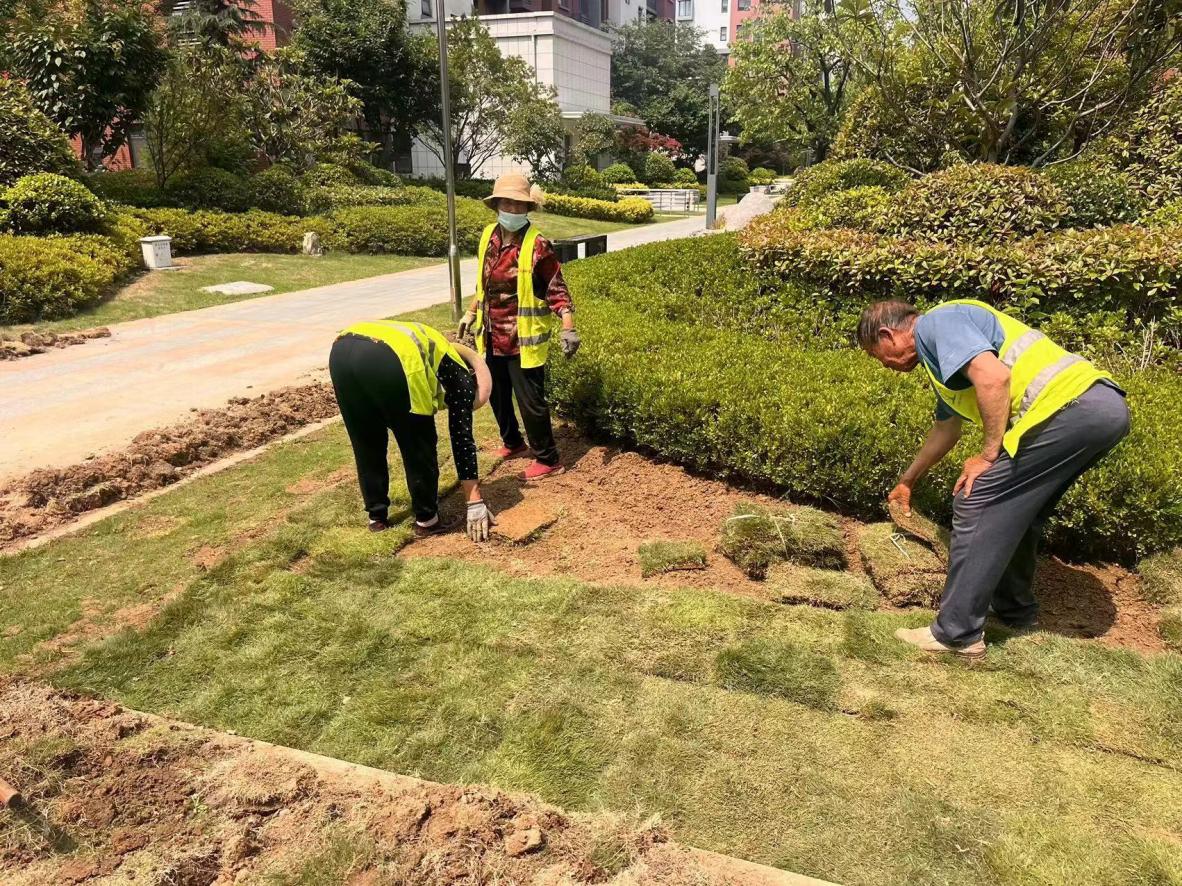 临沂市城管局园林环卫保障服务中心：暖心服务进社区，携手共建美化家园