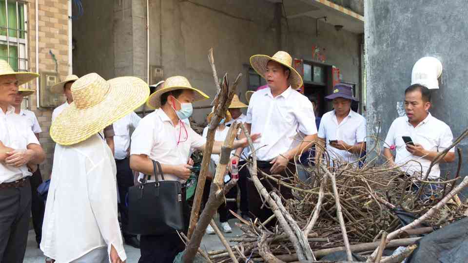 海陵区举办全区全域城乡环境卫生治理实行网格化管理工作培训班