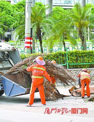 城管、环卫部门：统筹部署 排查风险消除隐患