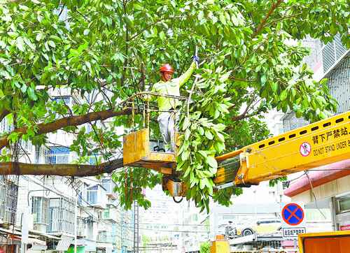 城管、环卫部门：统筹部署 排查风险消除隐患