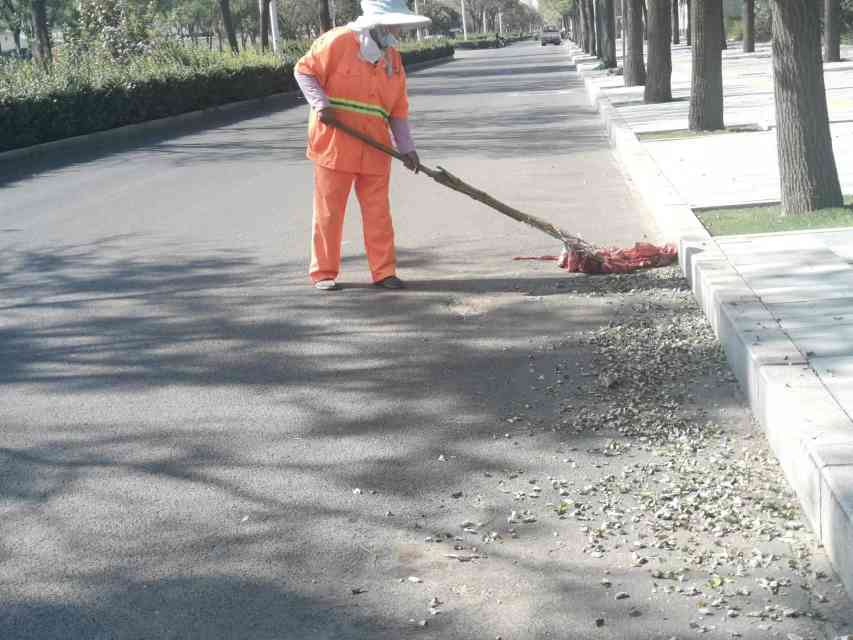 衡水市环卫中心全力做好落叶清扫收集工作 确保道路干净整洁