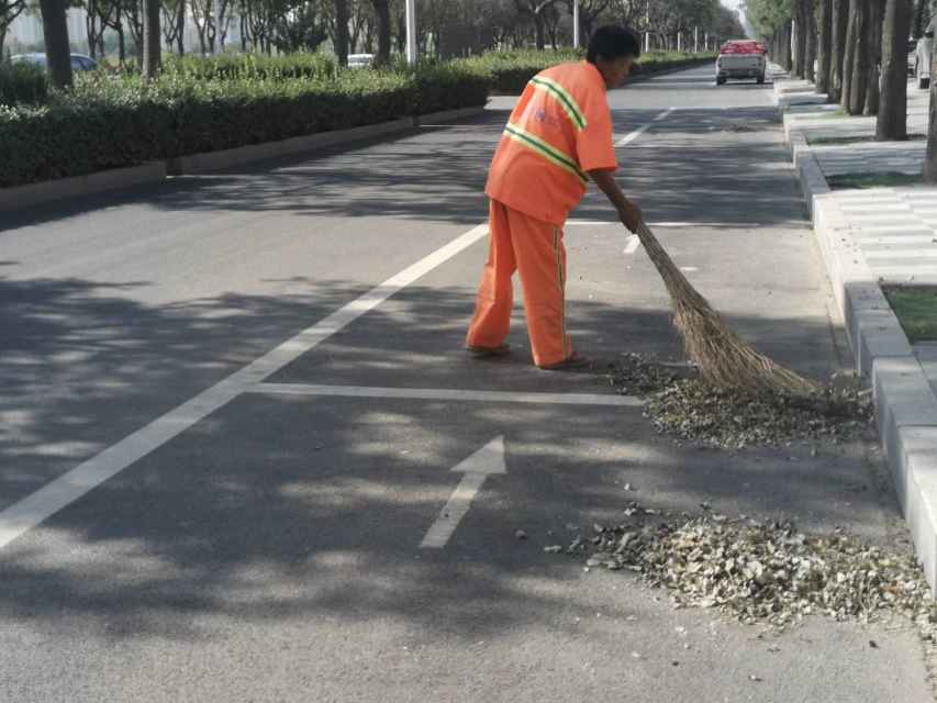 衡水市环卫中心全力做好落叶清扫收集工作 确保道路干净整洁