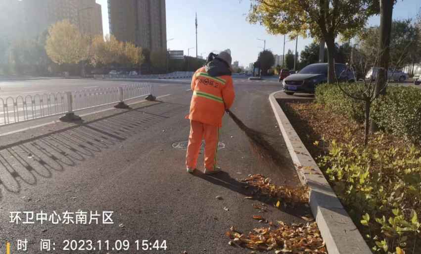 初冬时节落叶飘 衡水环卫工人清扫忙