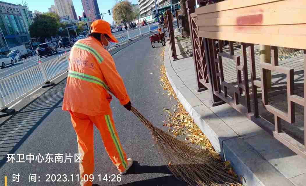 初冬时节落叶飘 衡水环卫工人清扫忙