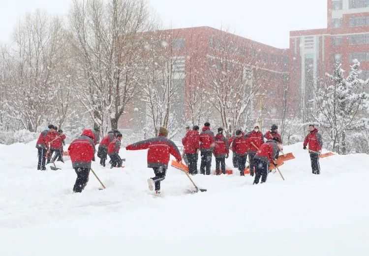 我市环卫及各部门单位集中开展清雪工作