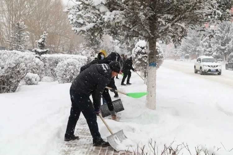 我市环卫及各部门单位集中开展清雪工作