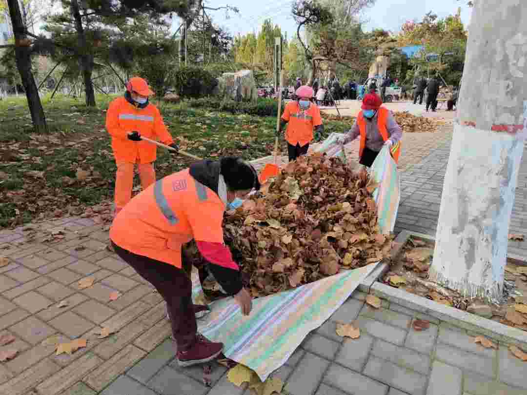 保定：初冬落叶飘 环卫作业忙