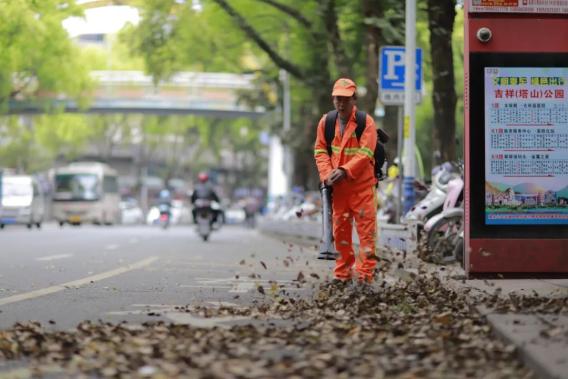 古田：环卫工清扫落叶 护城市整洁