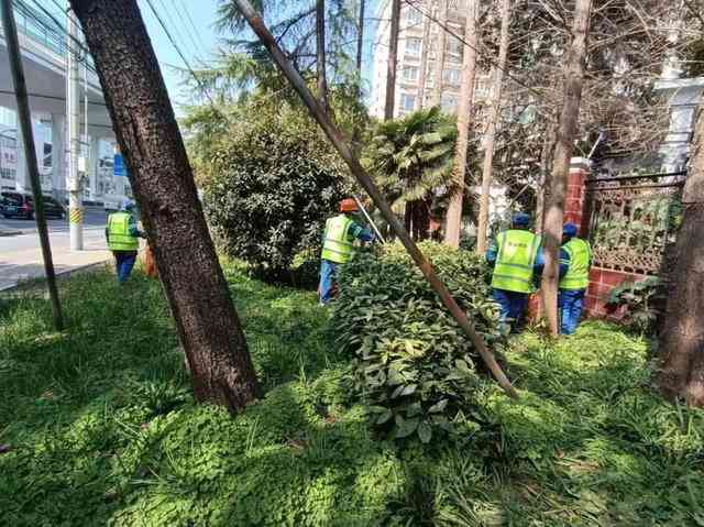 聚焦道路环境卫生，他们这样做