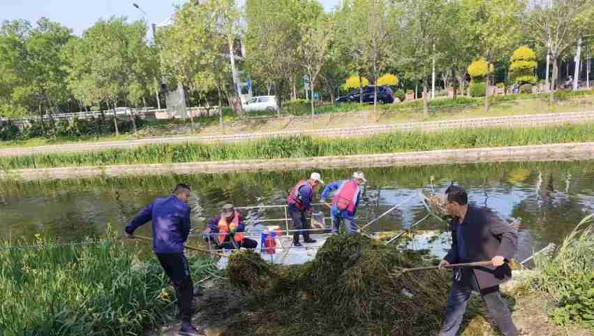 衡水市环卫中心：守护碧水清波 河道“美容师”在行动