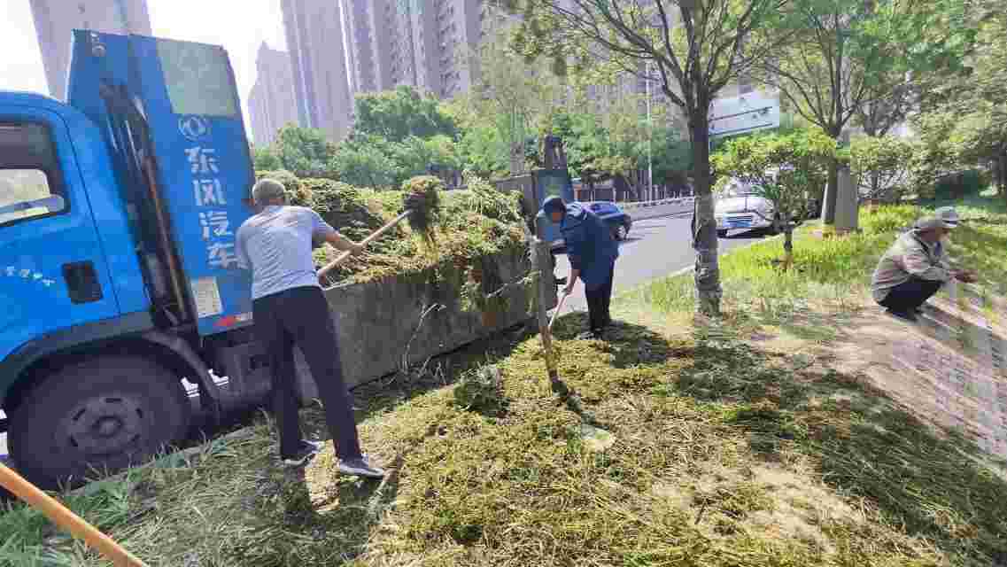 衡水市环卫中心：守护碧水清波 河道“美容师”在行动