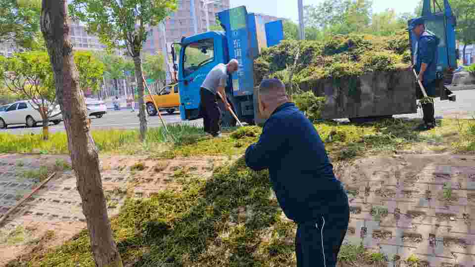 衡水市环卫中心：守护碧水清波 河道“美容师”在行动