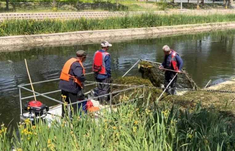 衡水市环卫中心：守护碧水清波 河道“美容师”在行动