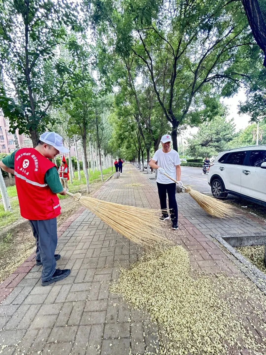 县住建局环卫中心持续开展“创城争优、环卫有我”志愿服务活动