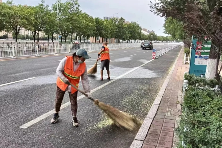 桥西区：槐花落满地 环卫清扫忙