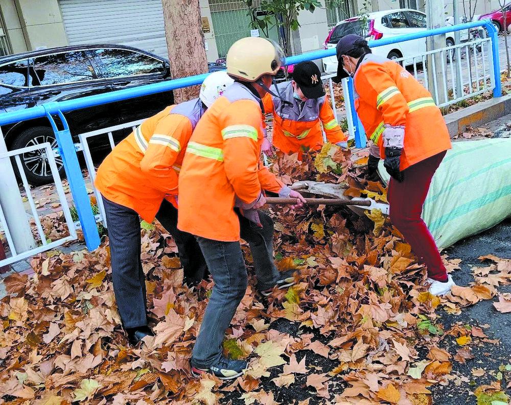 【媒体报道】初冬落叶飘 环卫清扫忙