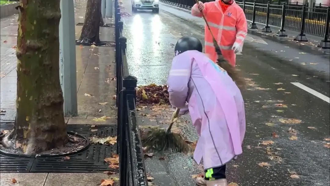 一上午清理200多袋落叶垃圾！ 风雨过后，这些人默默守护城市洁净……