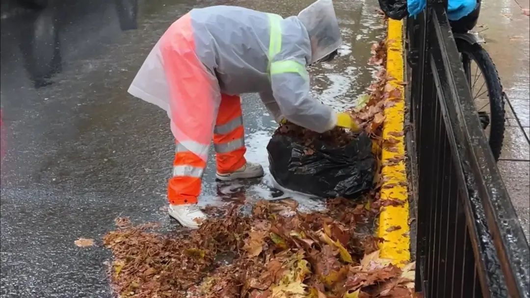 一上午清理200多袋落叶垃圾！风雨过后，这些人默默守护城市洁净……