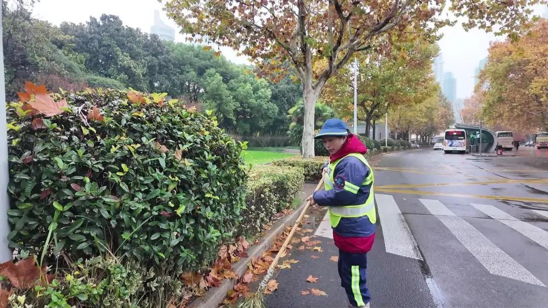 一上午清理200多袋落叶垃圾！风雨过后，这些人默默守护城市洁净……