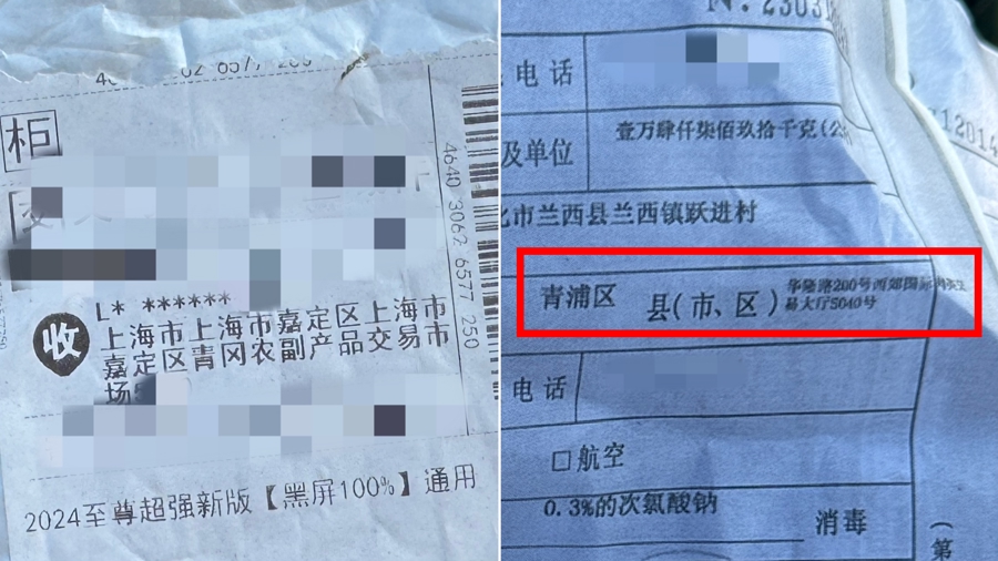 嘉定一林地附近频现烟雾！记者探访发现：待建空地沦为垃圾偷倒和焚烧点