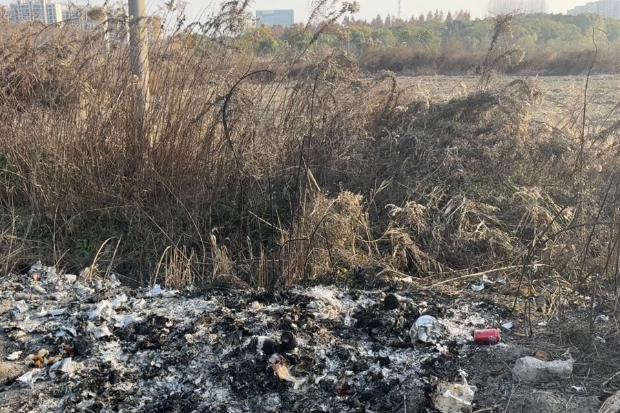 嘉定一林地附近频现烟雾！记者探访发现：待建空地沦为垃圾偷倒和焚烧点