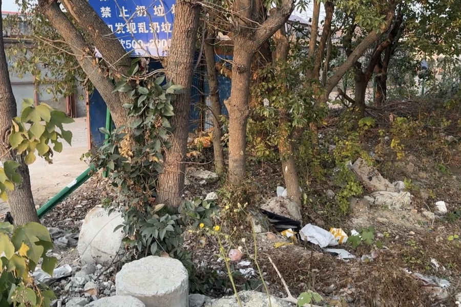 嘉定一林地附近频现烟雾！记者探访发现：待建空地沦为垃圾偷倒和焚烧点