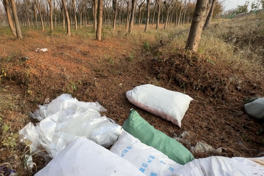 嘉定一林地附近频现烟雾！记者探访发现：待建空地沦为垃圾偷倒和焚烧点