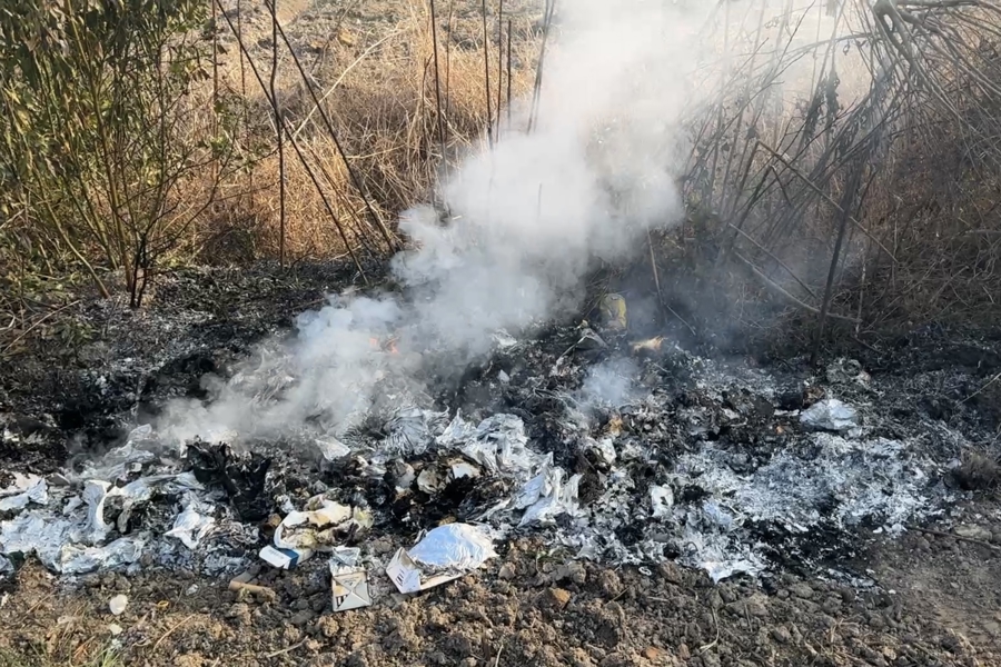 嘉定一林地附近频现烟雾！记者探访发现：待建空地沦为垃圾偷倒和焚烧点