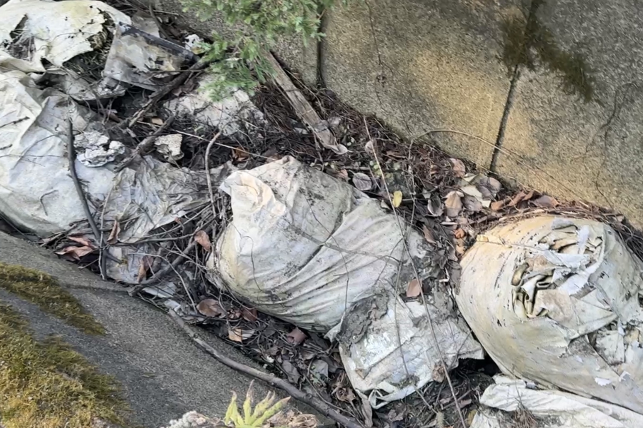 嘉定一林地附近频现烟雾！记者探访发现：待建空地沦为垃圾偷倒和焚烧点