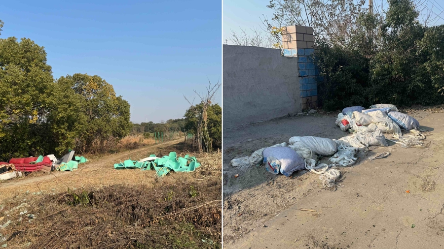 嘉定一林地附近频现烟雾！记者探访发现：待建空地沦为垃圾偷倒和焚烧点