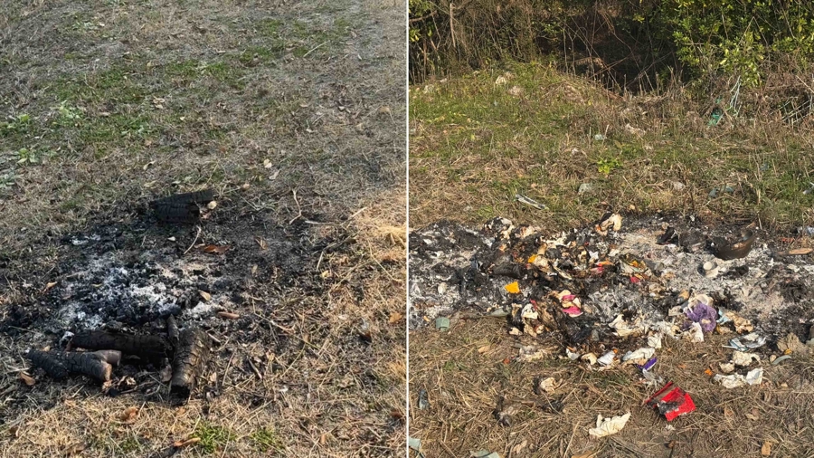 嘉定一林地附近频现烟雾！记者探访发现：待建空地沦为垃圾偷倒和焚烧点