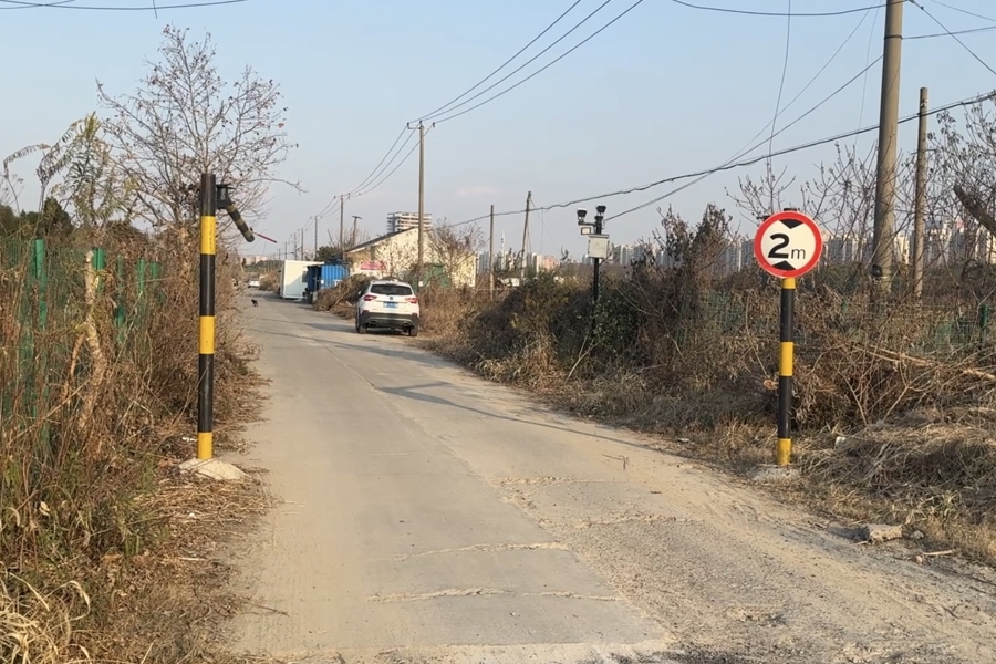 嘉定一林地附近频现烟雾！记者探访发现：待建空地沦为垃圾偷倒和焚烧点