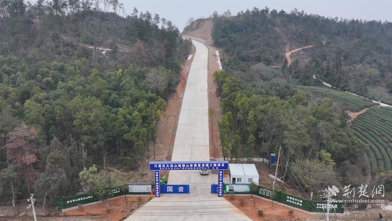科学治理+生态修复，江夏区破解建筑垃圾“围城”难题