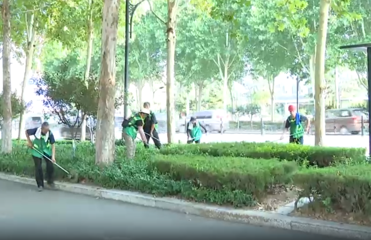 青州市园林绿化和环卫中心多举措做好夏季绿化养护管理