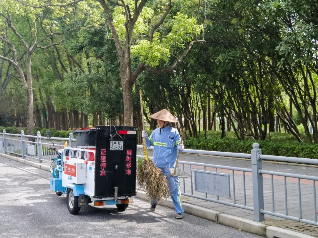 清理窨井、修剪树枝，松江环卫园林工人全力备战台风