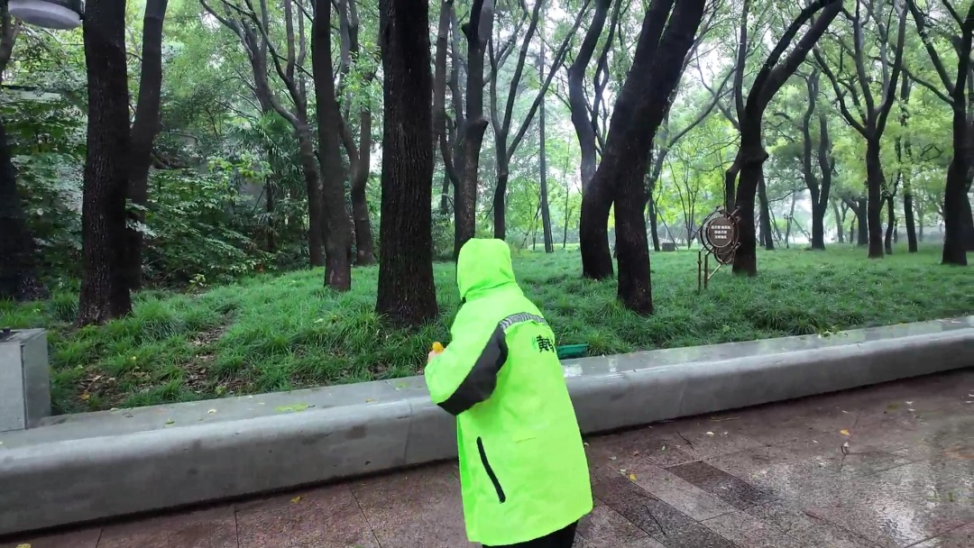 台风天里的城市守护者：环卫工人筑牢路面畅通防线
