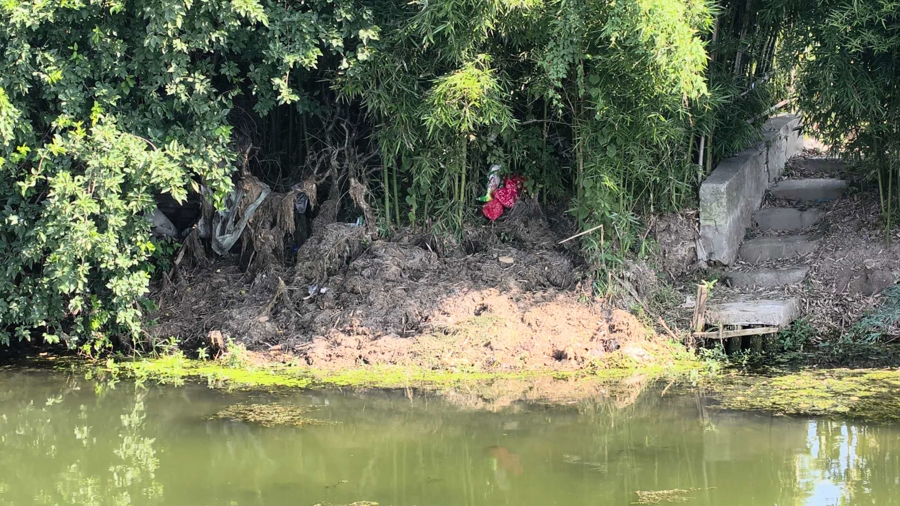 夏令行动 |河道垃圾竟如此处置？打捞上来的水草随意堆在岸边，高温腐臭难忍