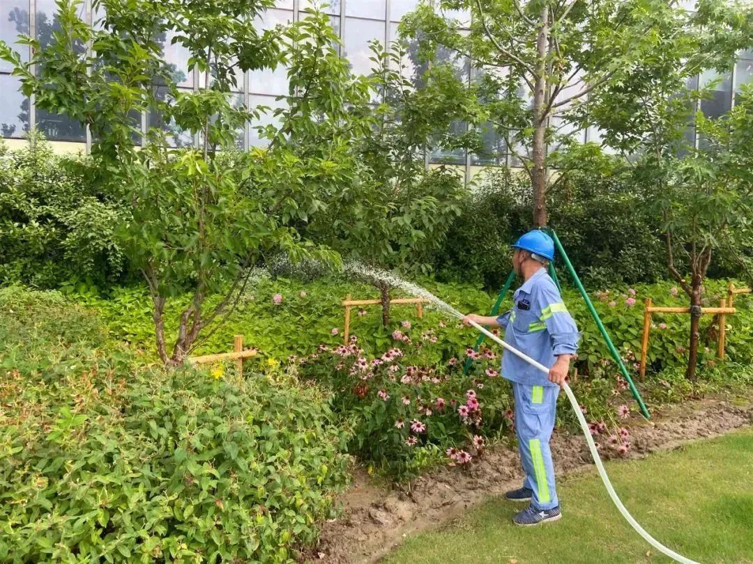 精细养护+科学保洁，宝山环卫匠心“汗”卫滨水新颜
