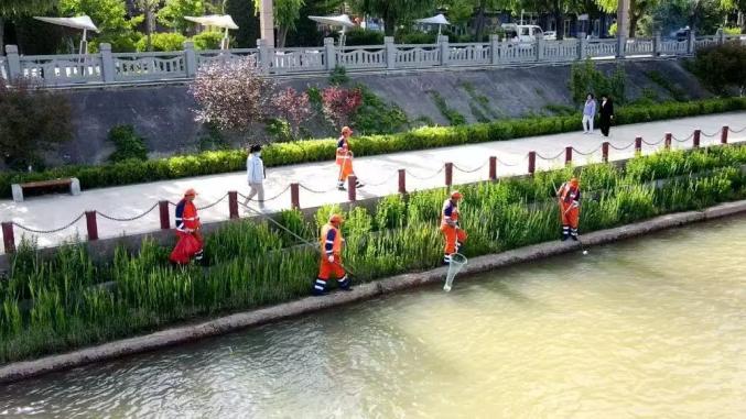 【城市管理大家谈】临洮县环境卫生所：深化精细管理，提升环卫品质