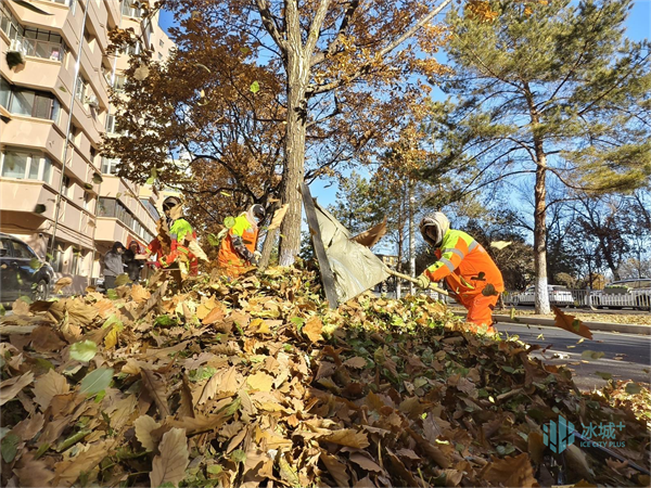 环卫工自制落叶清扫工具 提升作业效能和精细化管理水平