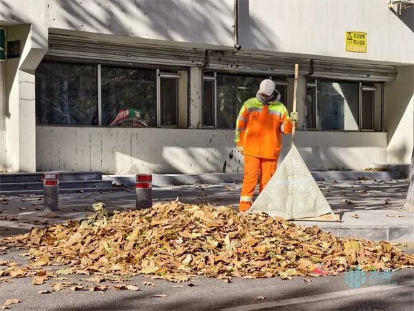 环卫工自制落叶清扫工具 提升作业效能和精细化管理水平